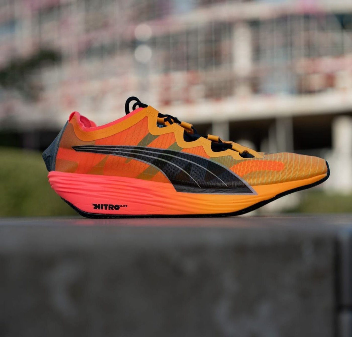 Puma fwd nitro Elite Top quality