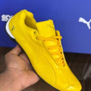 Puma speed cat ferrari
First copy