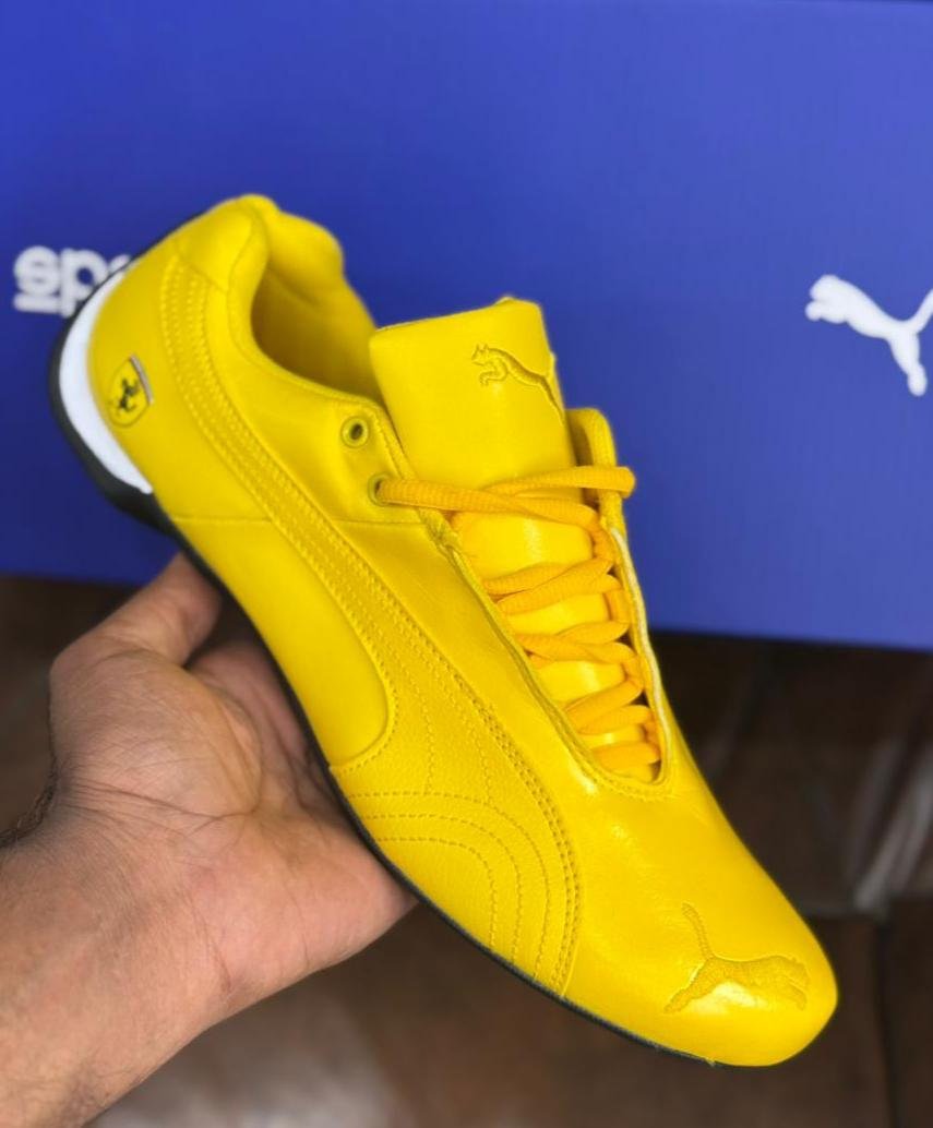 Puma speed cat ferrari
First copy