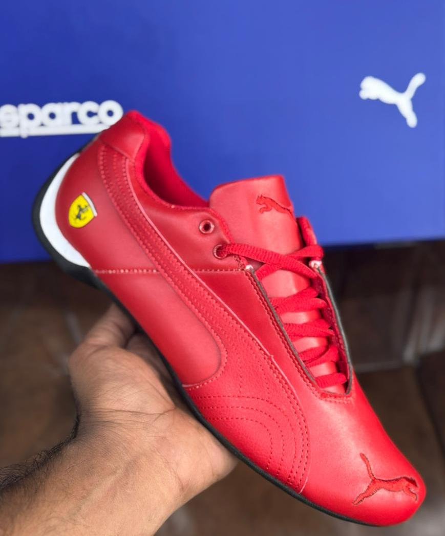Puma speed cat ferrari
First copy